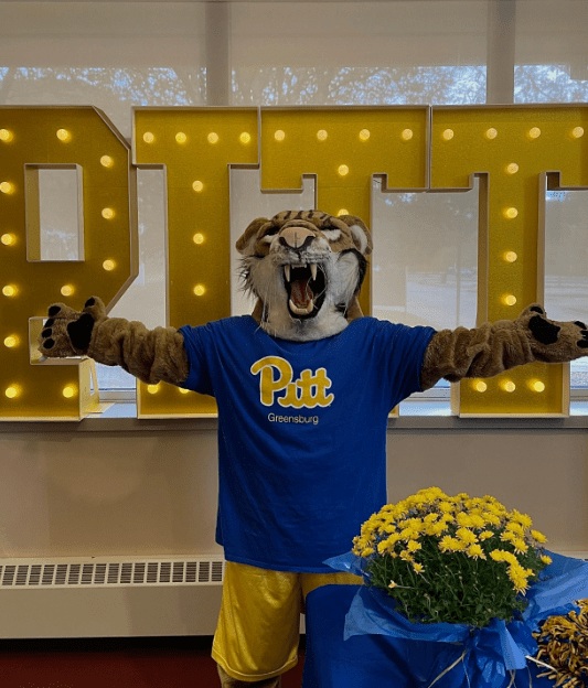 Photo Courtesy of Bruiser Bobcat