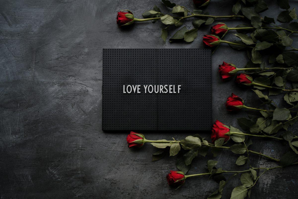 Photo Courtesy of Annie Spratt on Unsplash