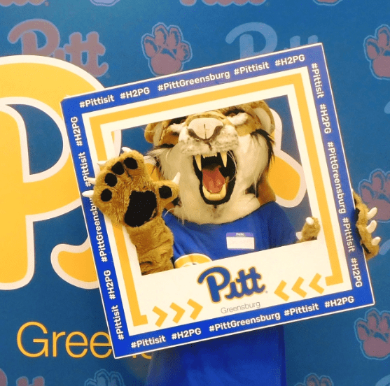 Photo Courtesy of Bruiser Bobcat